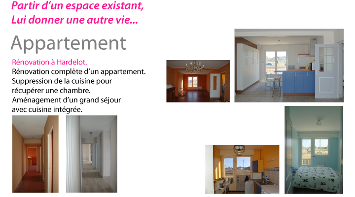 Projets professionnels